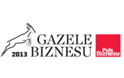 Business Gazelle 2013
